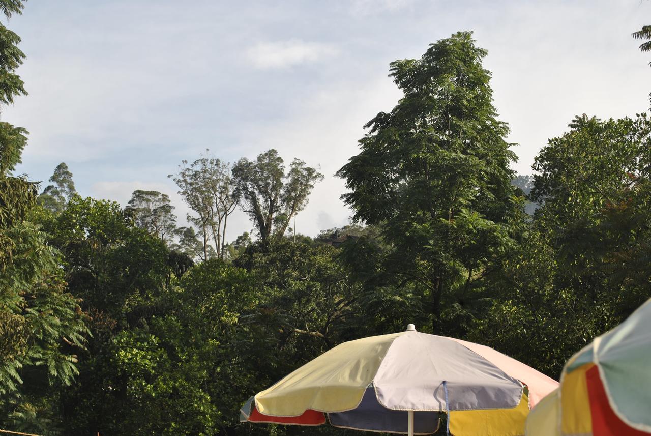 Mountain Villa Adam's Peak Nallathanniya Esterno foto